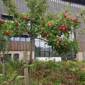 Collège SIMONE DE BEAUVOIR